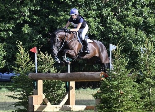 Royle Eventing syndicate