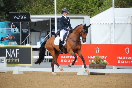 Royle Eventing syndicate