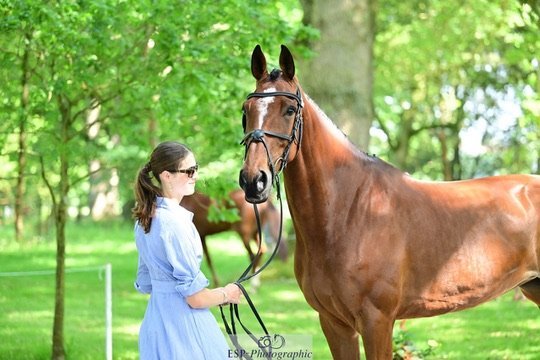 Royle Eventing syndicate