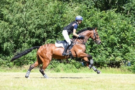 Royle Eventing syndicate