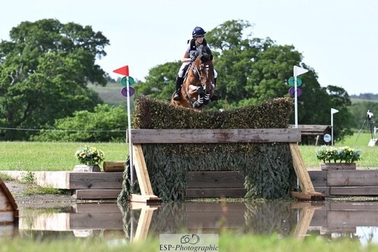 Royle Eventing syndicate