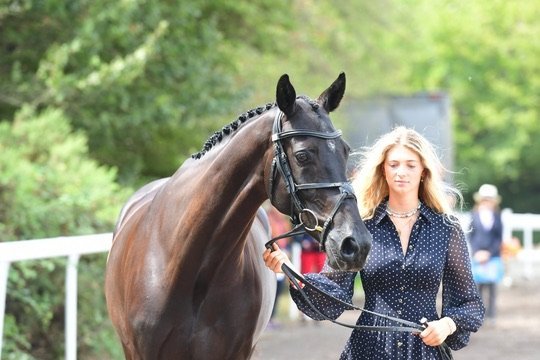 Royle Eventing syndicate